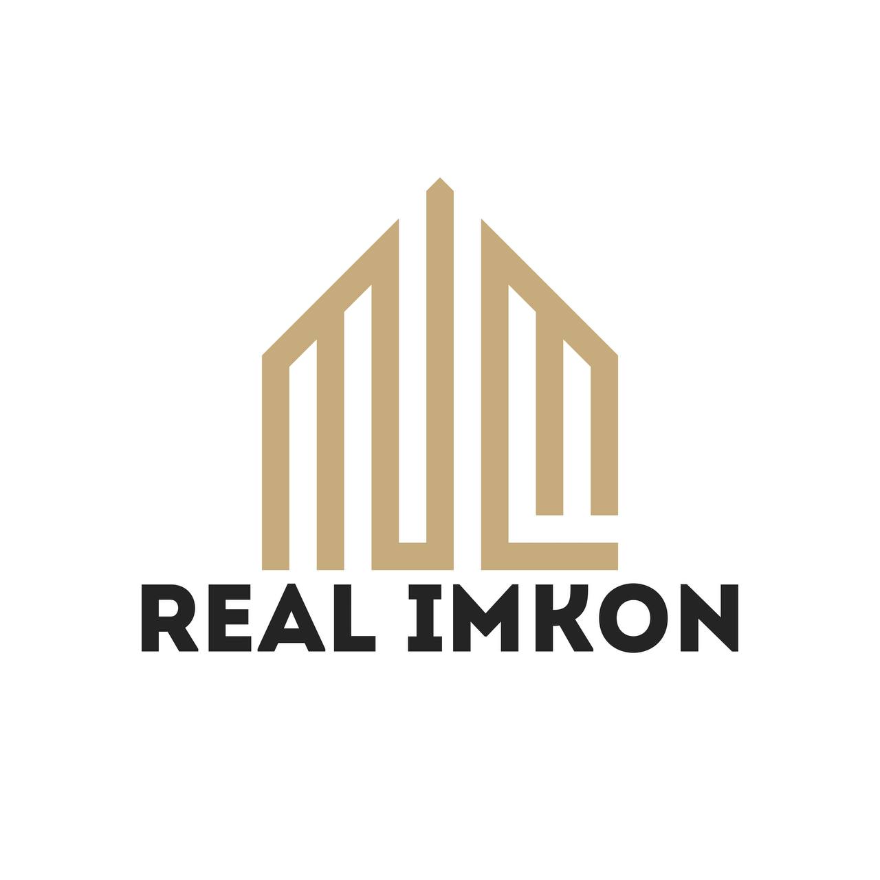 Real Imkon konsalting kompaniyasi logotipi